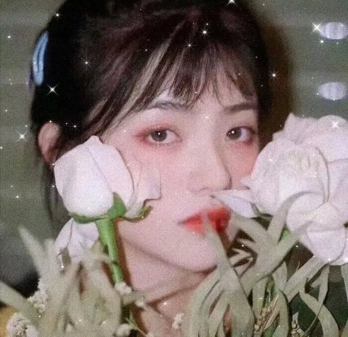 灰姑娘的歌舞情缘
